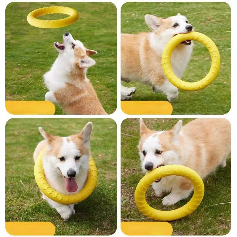 Brinquedo Anel Borracha Para Cachorro Pet