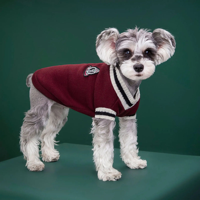 Camisola Estilo Universitário Para Pet Roupa Quente e Macia para Cães Pequeno e médio Porte