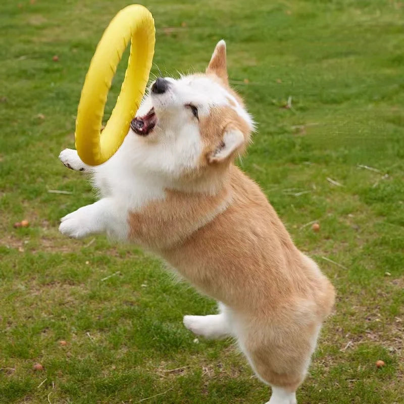 Brinquedo Anel Borracha Para Cachorro Pet