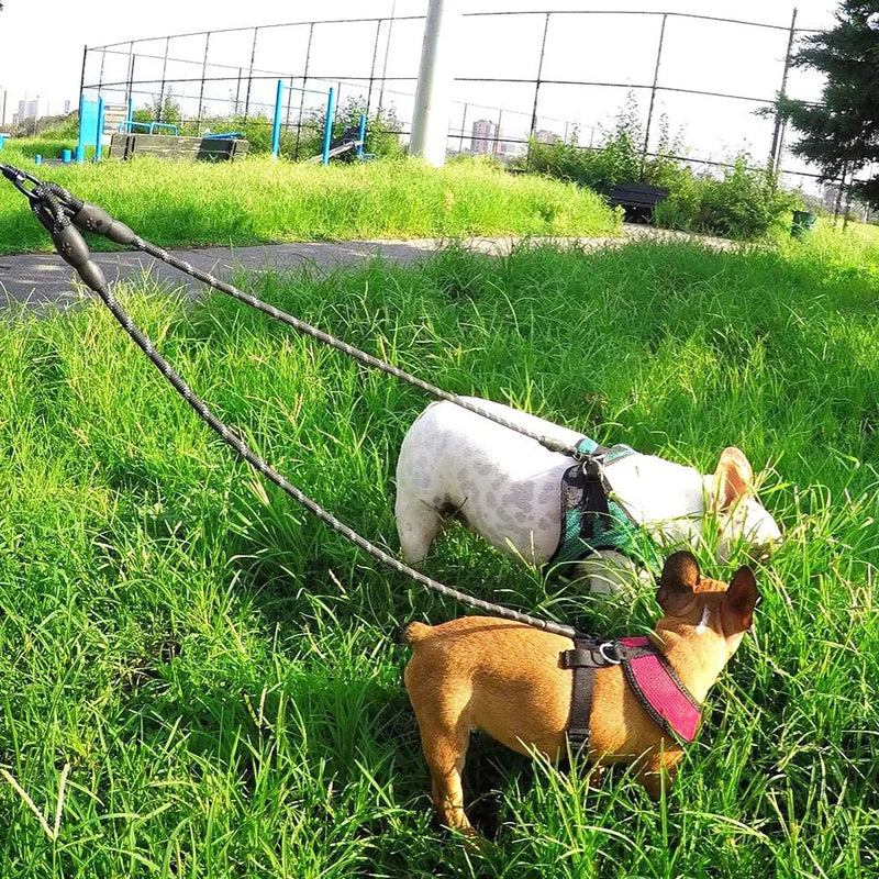 Trela Dupla para Pet Coleira Confortável Prática e Segura para Caminhar