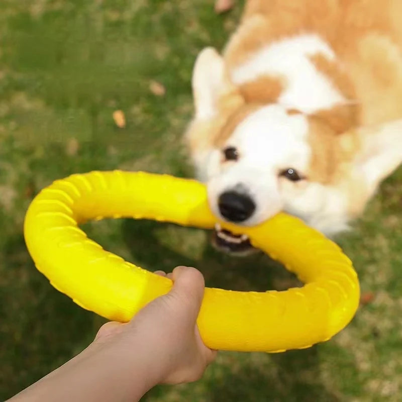 Brinquedo Anel Borracha Para Cachorro Pet