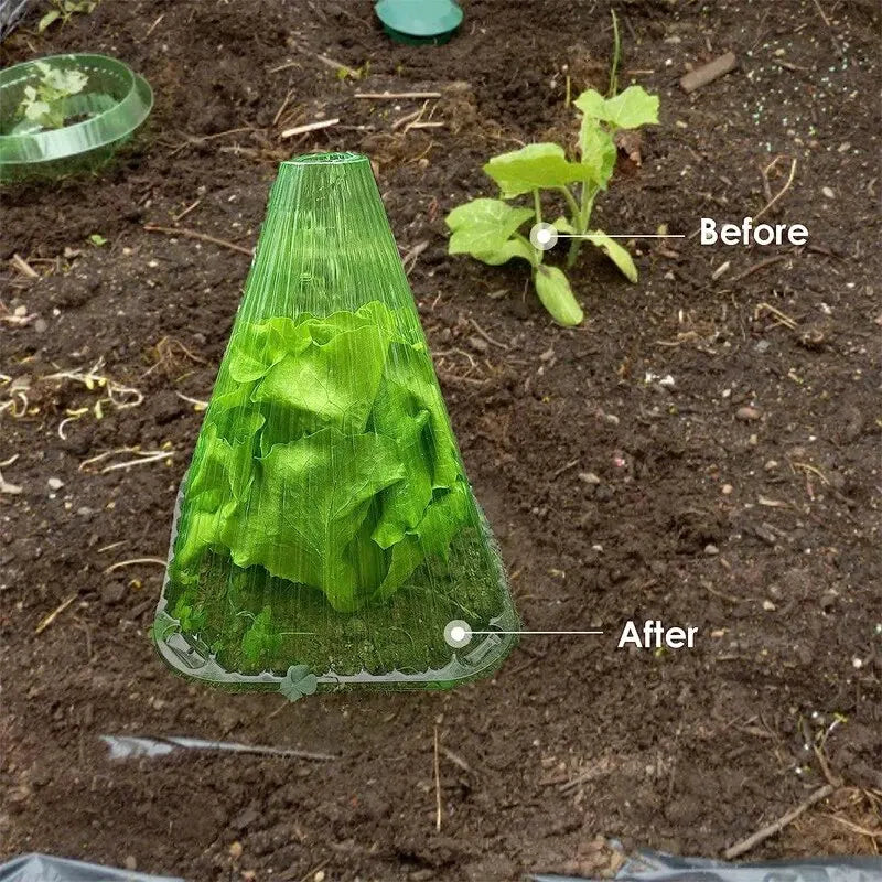 Kit 5 Peças de Proteção Para a Sua Plantação Em Cone Plástico Resistente