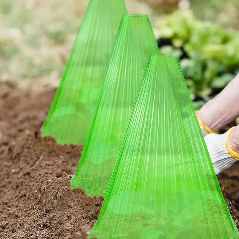 Kit 5 Peças de Proteção Para a Sua Plantação Em Cone Plástico Resistente