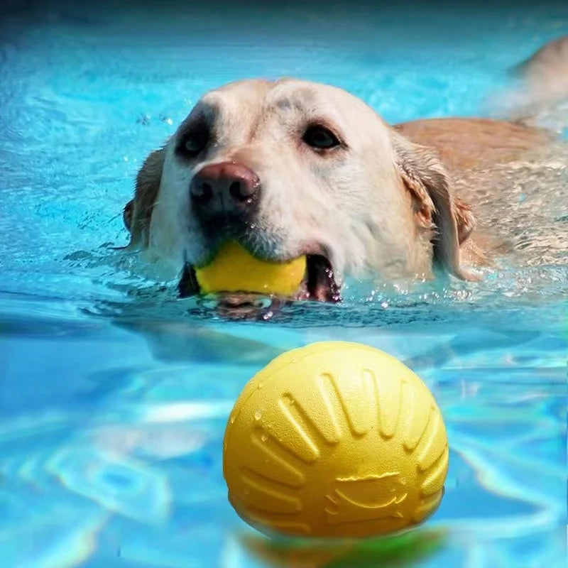 Brinquedo Anel Borracha Para Cachorro Pet